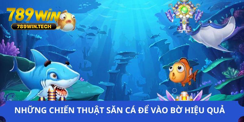 Chiến thuật săn cá vào bờ hiệu quả