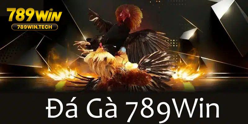 Đá gà Campuchia 789WIN kịch tính trong từng trận đấu