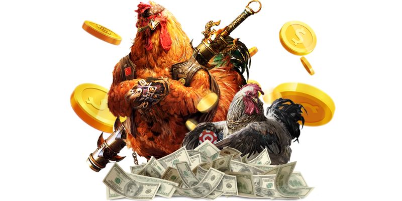 Bạn nên tìm hiểu kỹ luật cá độ đá gà để thắng lớn