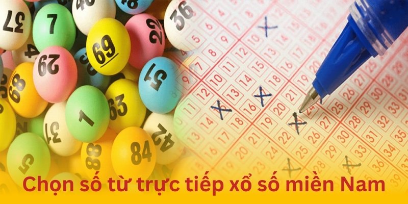 Thống kê kết quả trực tiếp xổ số miền Nam để chọn con lô dễ trúng nhất
