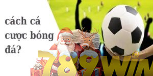 Mẹo Cá Cược Bóng Đá Cho Các Tân Thủ Tại Nhà Cái 789win